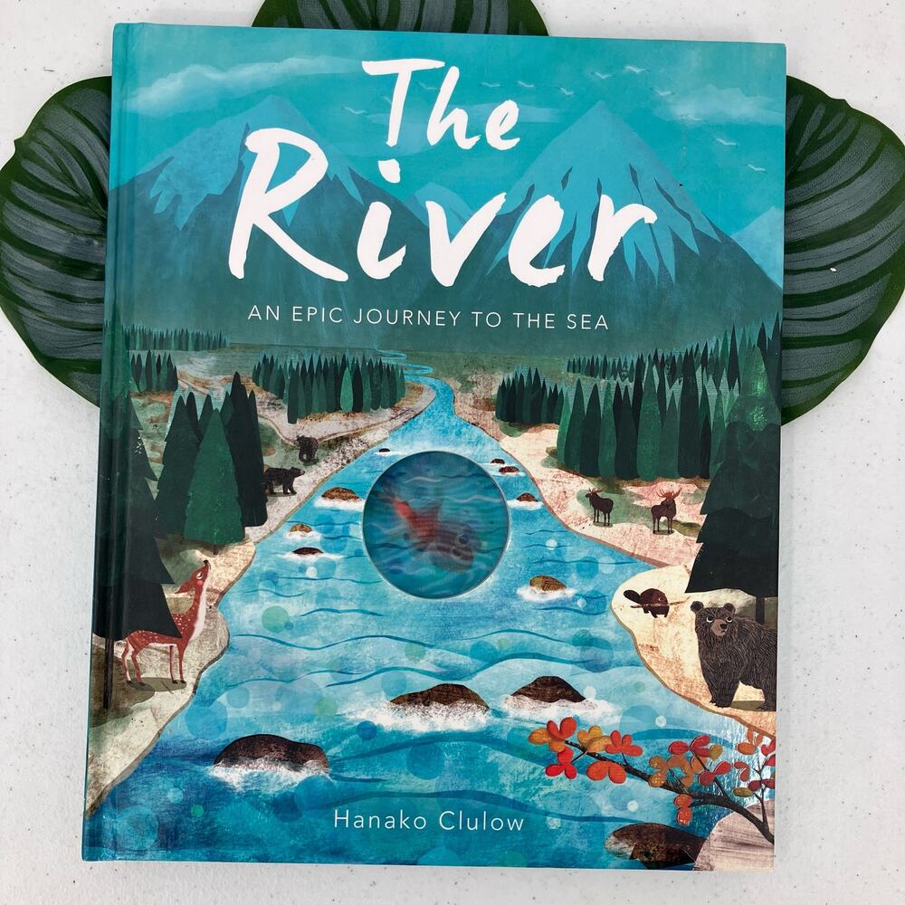 Kane Miller The River Hanako Clulow Fish Animal Hardcover Picture Childrens Book